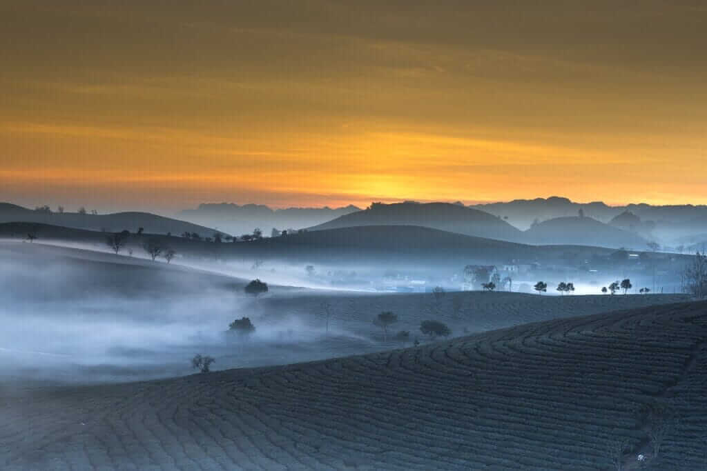 Paysage époustouflant d'une plantation de thé au Vietnam Coucher de soleil spectaculaire au dessus d'une plantation de thé vietnamienne